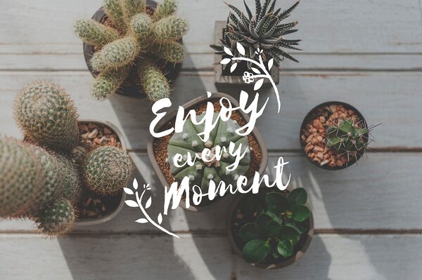 Tapeta s citatom - Enjoy every moment