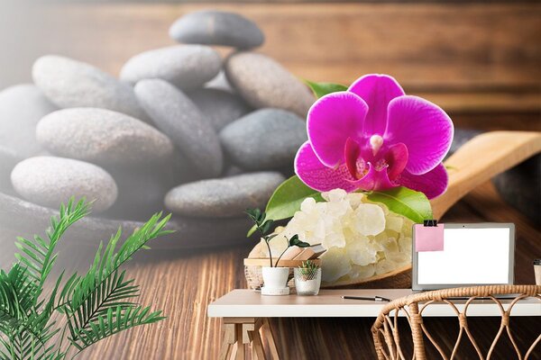 Fototapeta čarolija wellness-a