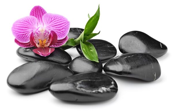 Tapeta masažni wellness kamenje