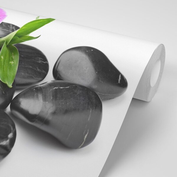 Tapeta masažni wellness kamenje