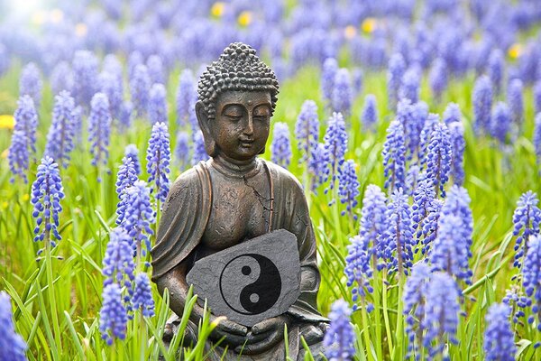 Fototapeta Jin i Jang Buddha