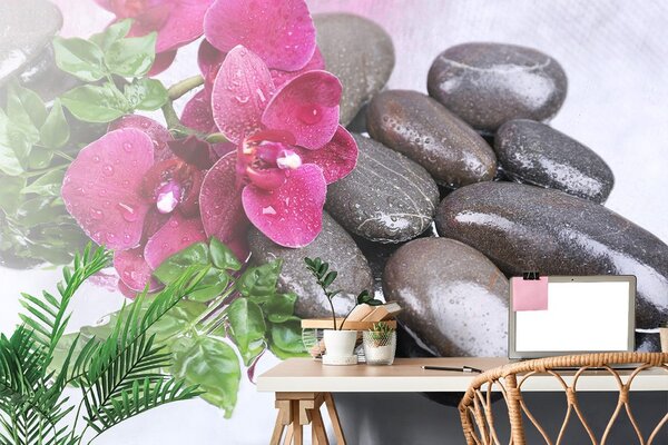 Fototapeta orhideja u cvatu i wellness kamenje