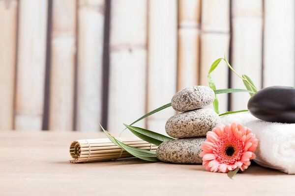 Fototapeta wellness mrtva priroda