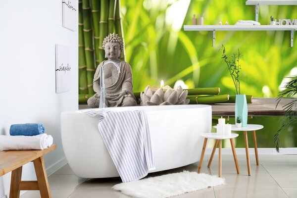 Fototapeta harmonični Buddha