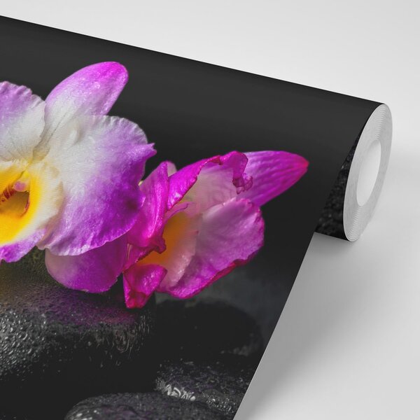 Fototapeta orhideja na Zen kamenju