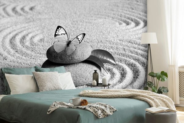 Fototapeta crno-bijeli leptir na Zen kamenu