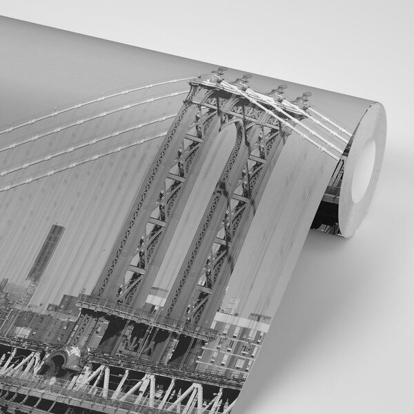 Fototapeta crno-bijeli neboderi u New York-u
