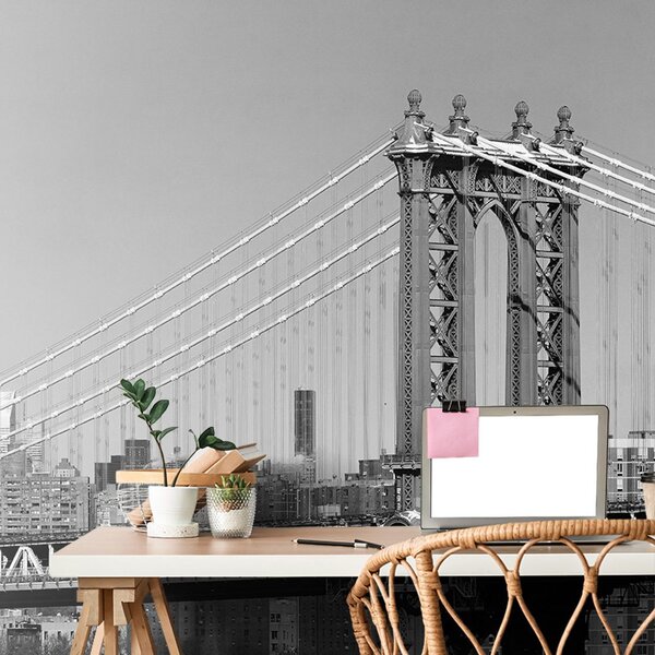 Fototapeta crno-bijeli neboderi u New York-u