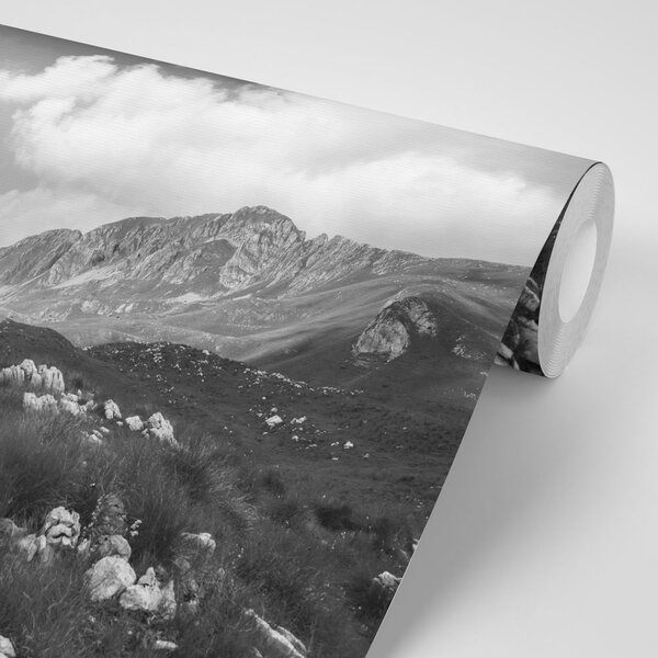 Fototapeta crno-bijela dolina u Crnoj Gori