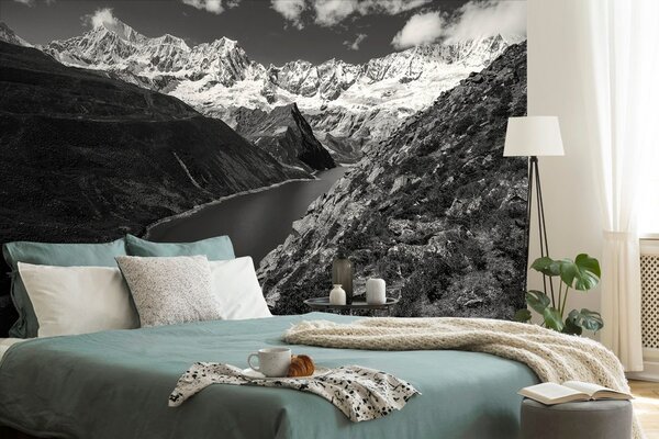 Fototapeta park Patagonija u Argentini u crno-bijelom