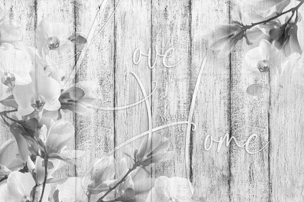 Tapeta crno-bijela mrtva priroda s natpisom - Love begins at home