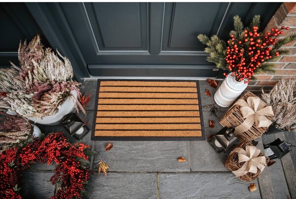 Otirač od kokosovih vlakana 45x75 cm Striped – Hanse Home
