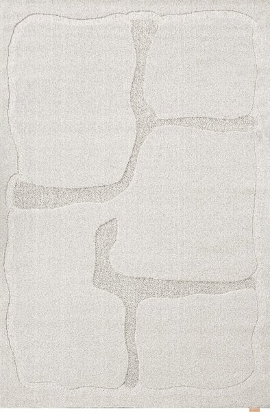 Svijetlo sivi vunen tepih 160x230 cm Morphic Organica – Agnella