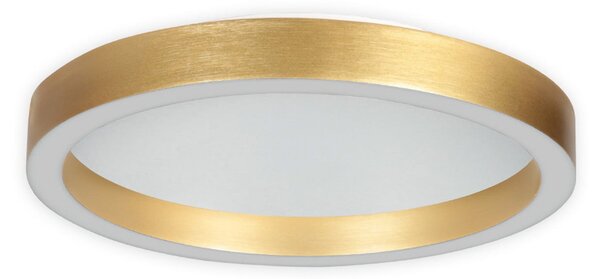Steinhauer Ringlux LED stropna svjetiljka, zlatne boje, Ø 40 cm, metal, 2700 K, prigušiva, Zlato / mjed, Dnevni boravak/blagovaonica, Metal