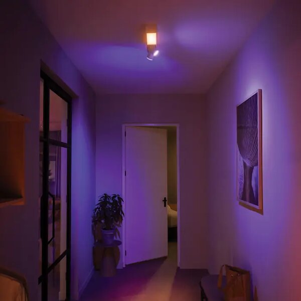 Centris PHILIPS HUE UGRADBENI REFLEKTOR BIJELI 2-SPOT 8718696176009