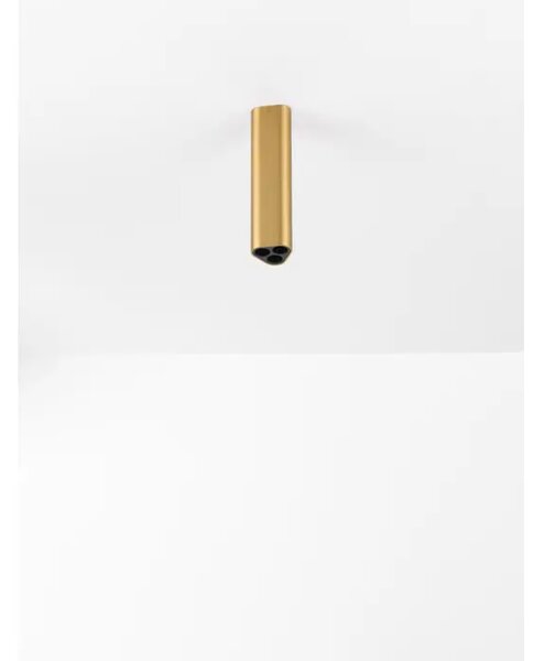 ETHO STROPNI REFLEKTOR ZLATNI LED 6W 459lm 3000K IP20 NL9695158