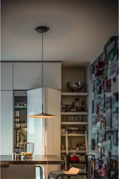 FOSCARINI APLOMB VELIKA VISILICA SMEĐA FN195017_52