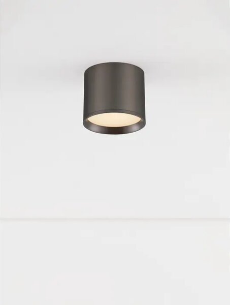 ZIAZA STROPNI REFLEKTOR SREBRNI LED 10W 505lm 3000K IP20 NL9695167