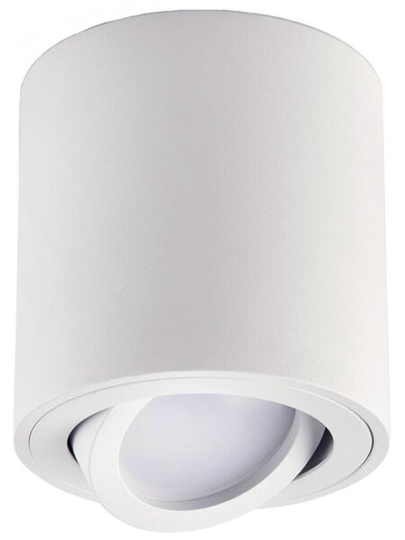Reflektorska svjetiljka AHA 1xGU10/35W/230V bijela