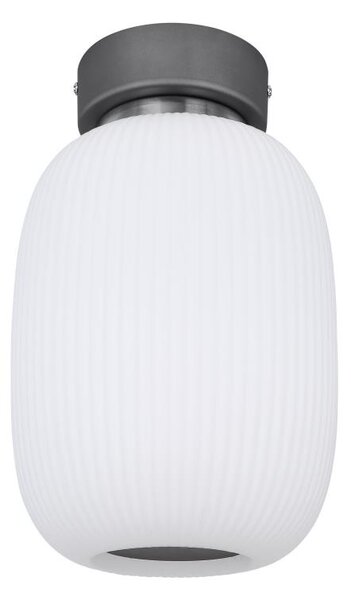 Globo 15437D1 - LED Stropna svjetiljka BOOMER LED/21W/230V