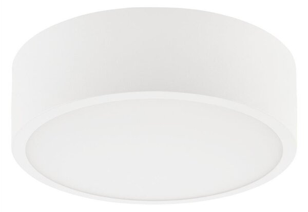 Stropna svjetiljka DANTE 1xE27/60W/230V pr. 26 cm bijela