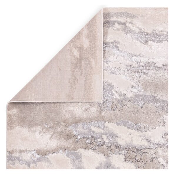 Sivi tepih 290x200 cm Aurora - Asiatic Carpets