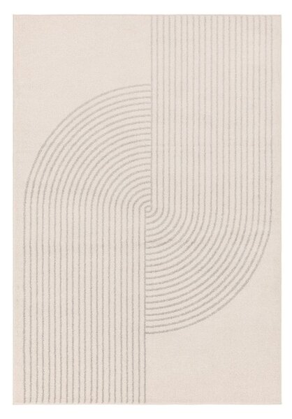 Krem-sivi tepih 230x160 cm Muse - Asiatic Carpets