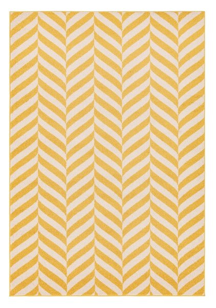 Žuti tepih 170x120 cm Muse - Asiatic Carpets