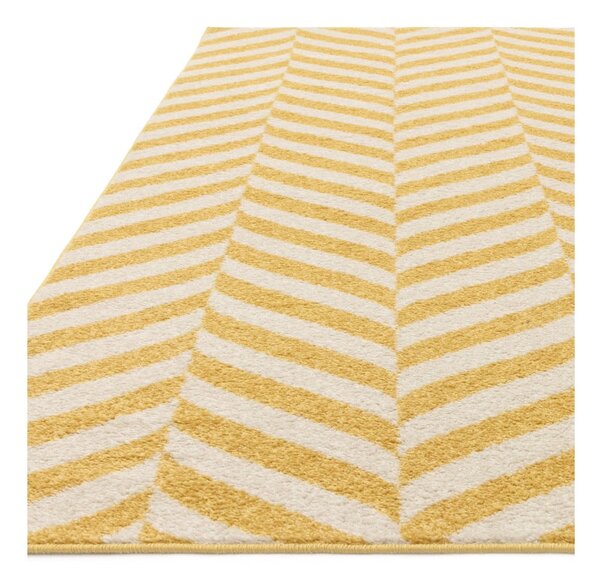 Žuti tepih 170x120 cm Muse - Asiatic Carpets