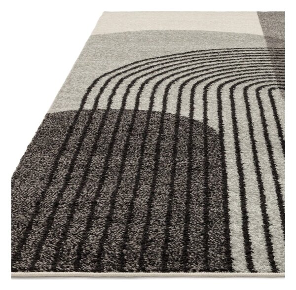 Sivi tepih 170x120 cm Muse - Asiatic Carpets