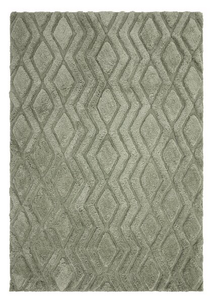Zeleni tepih 290x200 cm Harrison - Asiatic Carpets