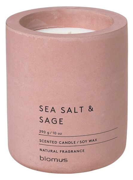 Mirisna svijeća od sojinog voska vrijeme gorenja 55 h Fraga: Sea Salt and Sage – Blomus