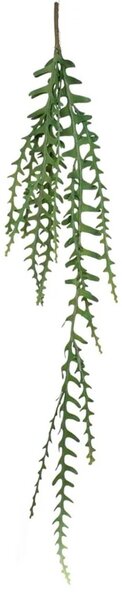 Epifil plezaljka 120 cm - zelena - 91 - 120 cm