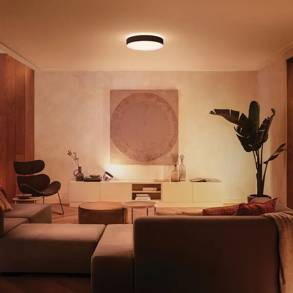 Enrave PHILIPS HUE PLAFONJERA CRNA 8718696176467