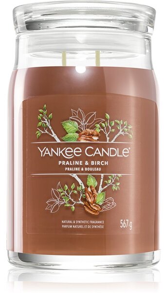 Yankee Candle Praline & Birch mirisna svijeća 567 g