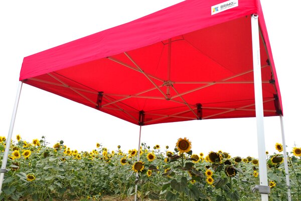 Reklamni šator 4x6 m Premium (Alu) s 3 stranice – Brzo postavljiv - sa 3 zida - Bijela