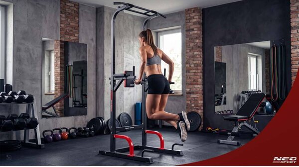 Samostojeći stalak za zgibove i dipse Neo-Sport Apex Tower