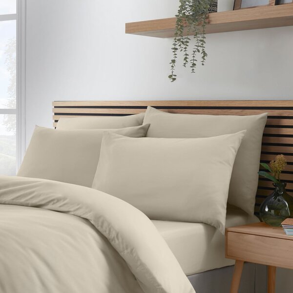 Jastučnice u setu 4 kom od mikrovlakana 50x75 cm So Soft Easy Iron – Catherine Lansfield