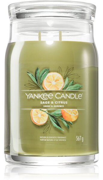 Yankee Candle Sage & Citrus mirisna svijeća Signature 567 g
