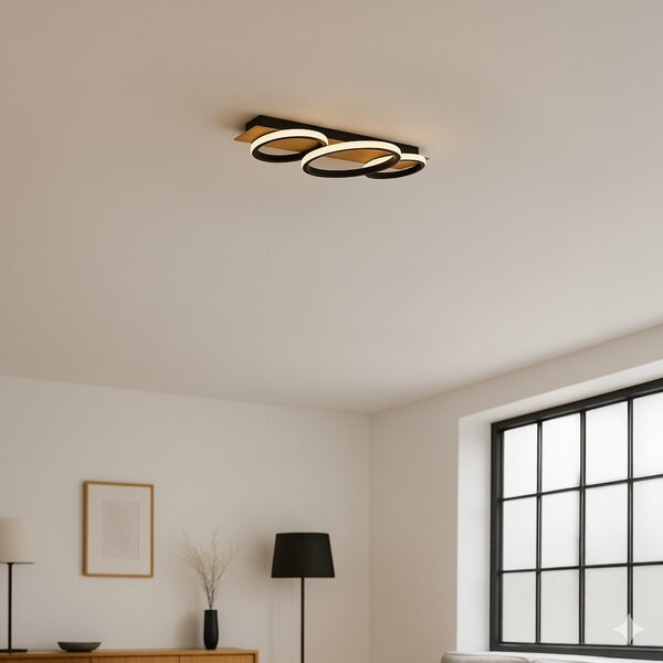 ROWENA 18W LED stropna lampa