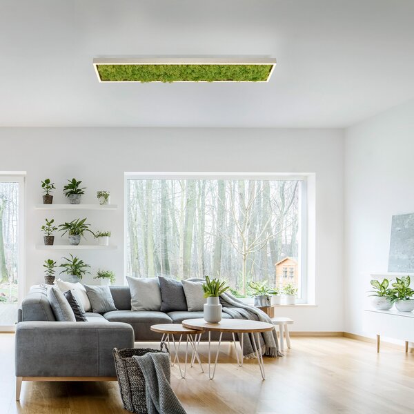 JUST LIGHT. GmbH Green Knut LED stropna svjetiljka s pravom mahovinom, prigušiva, Zelena, Dnevni boravak/blagovaonica
