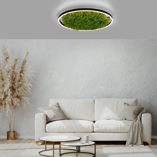 JUST LIGHT. GmbH LED stropna svjetiljka Green Ritus, mahovina prigušljiva Ø58,5cm, prigušiva, Zelena, Dnevni boravak/blagovaonica