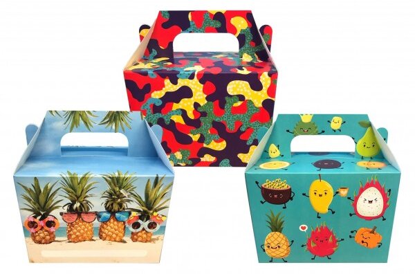 Kids Cardboard Lunch Box