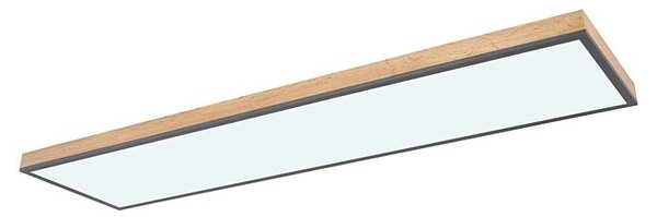 Globo Doro LED panel (36 W, 120 x 30 cm, Raznobojno)