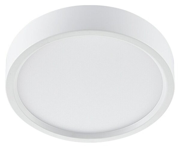 Green Tech LED panel okrugli (6 W, Ø x V: 110 x 40 mm, Bijela, Neutralno bijelo)