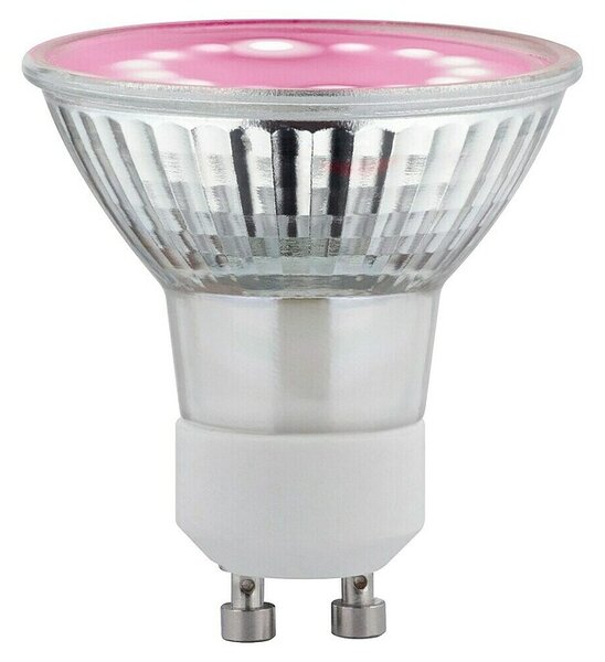 Paulmann LED žarulja (GU10, 2,4 W, 95 lm, Topla bijela)
