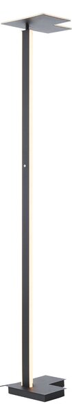 Brilliant LED podna lampa Mora, antracit, visina 178 cm, metal, prigušiva, Crno, Dnevni boravak/blagovaonica, Metal