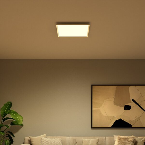 Philips Hue LED panel White & Color Ambiance Surimu, 60x60 cm, prigušiva, Bijela, Dnevni boravak/blagovaonica, Aluminij