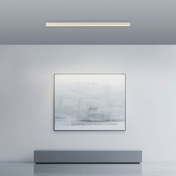 PURE LED stropna svjetiljka Lines, bijela, 110 cm, CCT, daljinski upravljač, prigušiva, Bijela, Dnevni boravak/blagovaonica, Metal