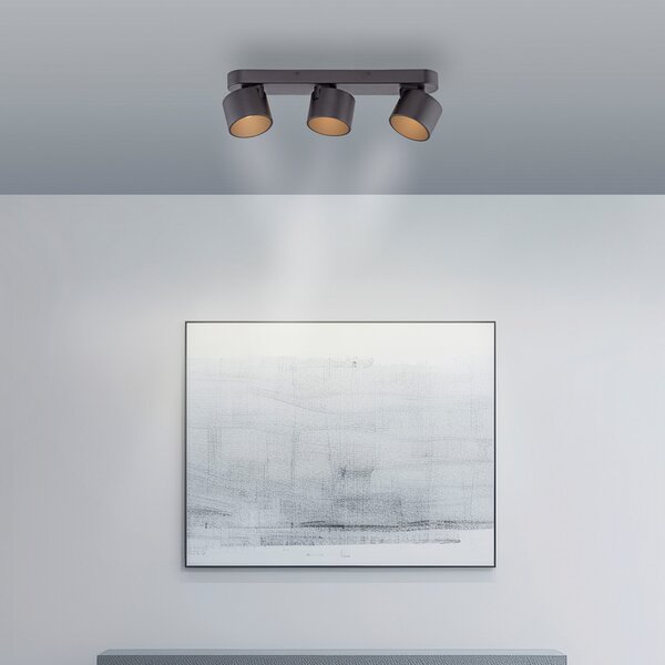 PURE LED stropna svjetiljka Cup, crna, duljina 56 cm, metal, 3 svjetla, prigušiva, Crno, Dnevni boravak/blagovaonica, Metal